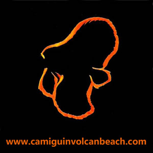 Logo VolcanBeach